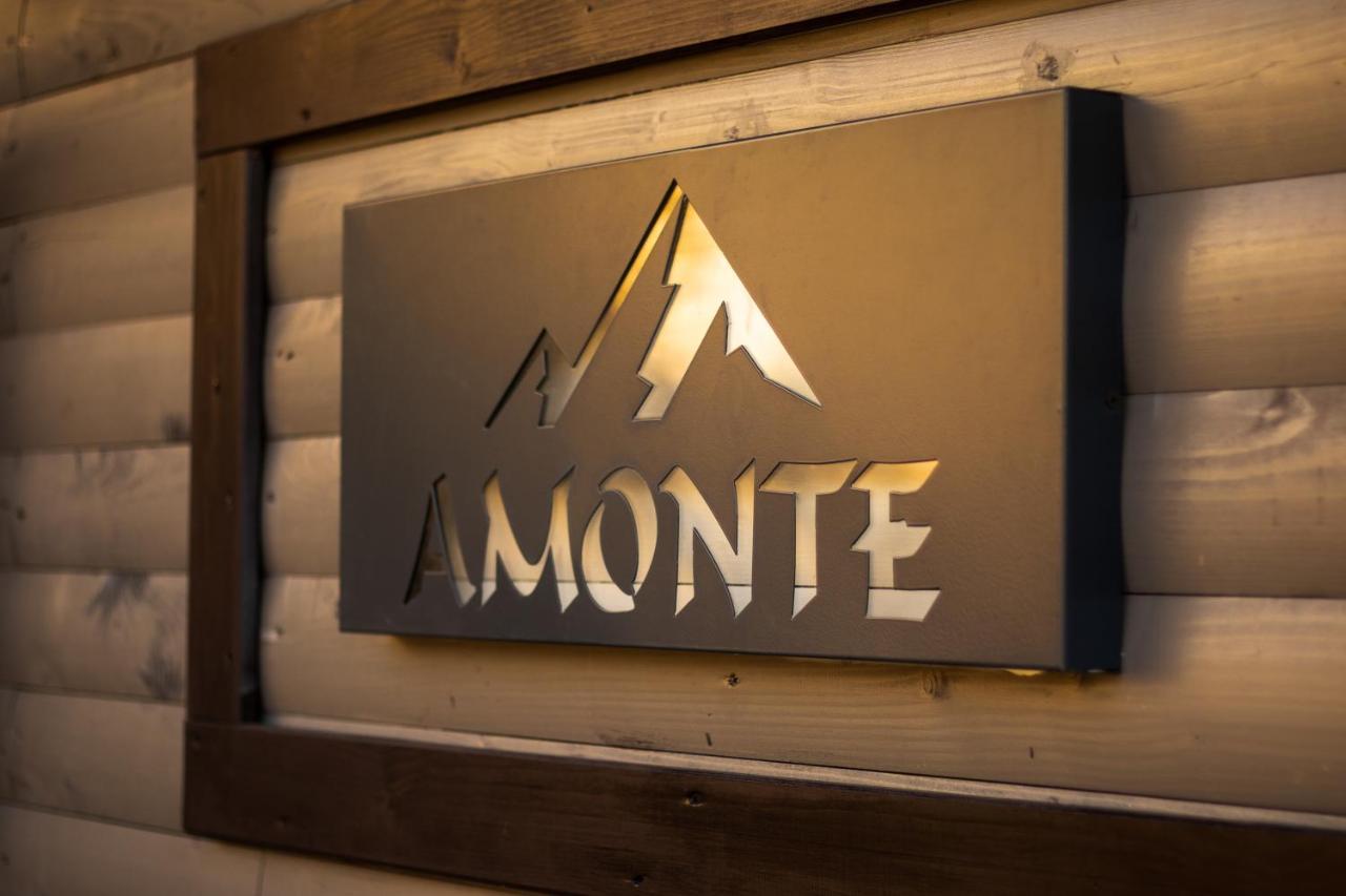 Amonte Mountain Resort Muntele Rece 外观 照片